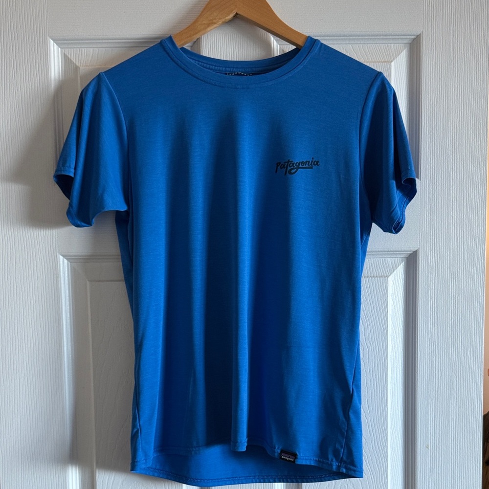 Patagonia Capilene Cool T shirt (Graphic)